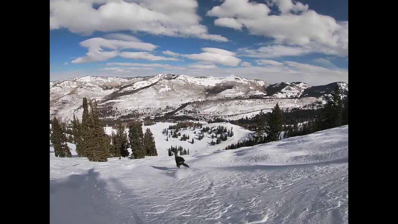 Green Edit, Solitude Utah