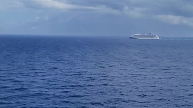 Carvinal Breeze