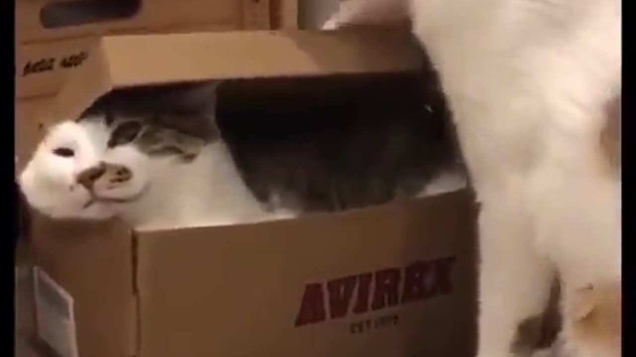 packing a gift