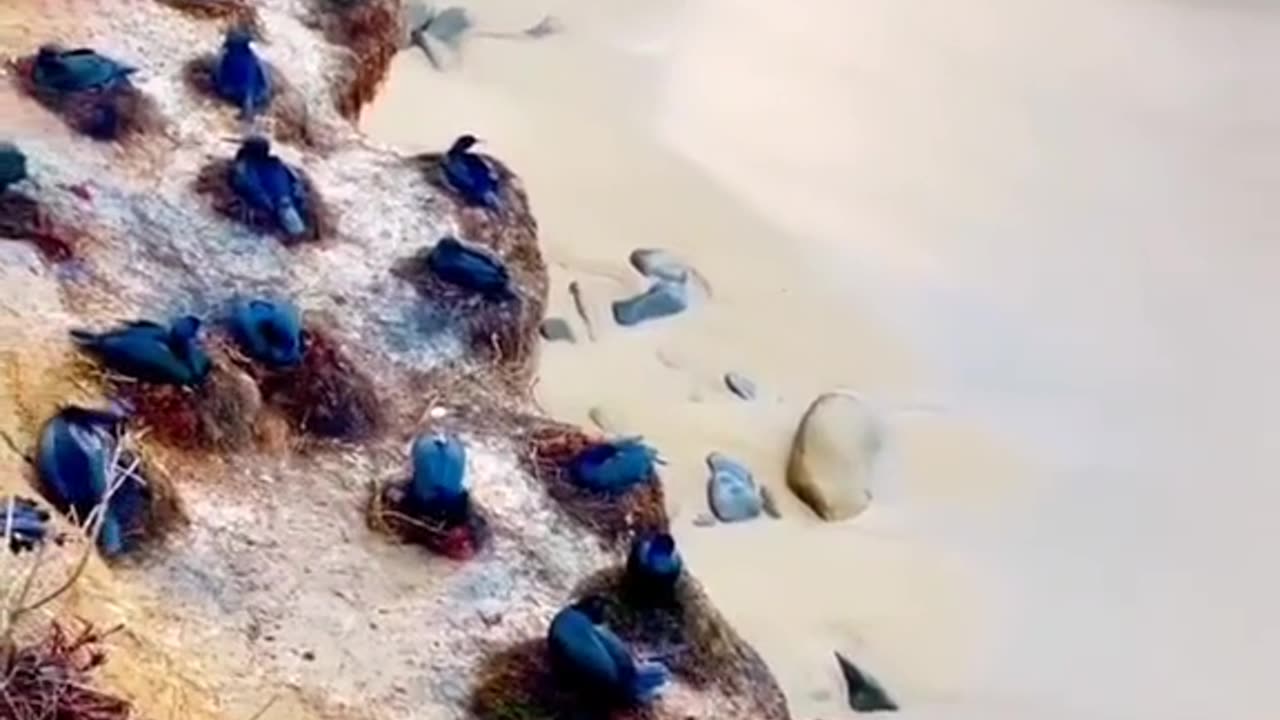 Never seen before
