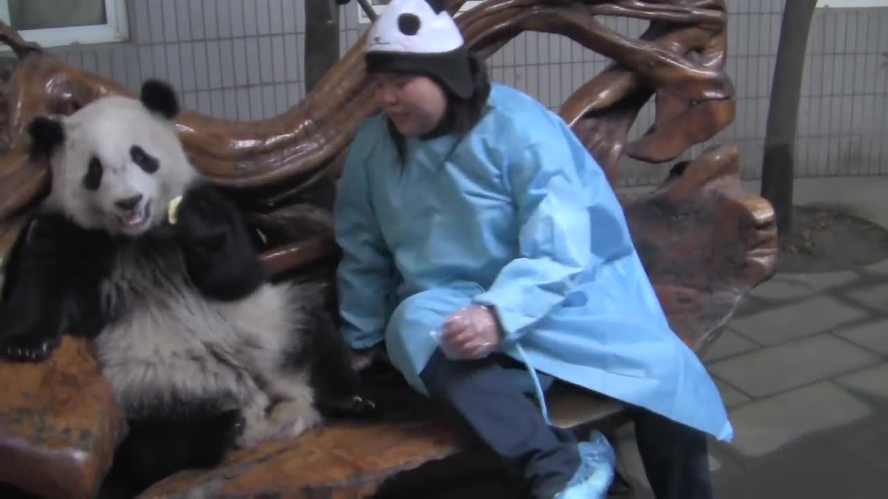 Panda on Lap - Chengdu Panda Breeding Center