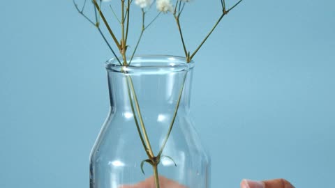 Person Tapping a Flower Vase