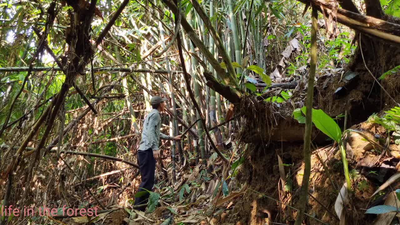 Life In The Forest,How To Bring Water Back, Build Outdoor Bath House 2022