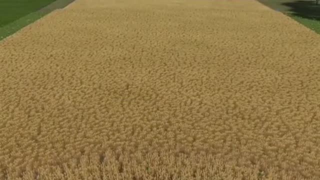 Getting the field done in 1 run 👍👌