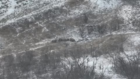 Drone Footage of Ukrainian Artillery Attacks 2