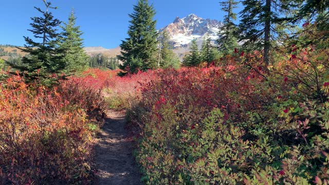 Oregon – Mount Hood – Autumn Alpine Wonderland – 4K