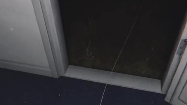 WATCH IF YOU HAVE THE COURAGE