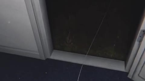 WATCH IF YOU HAVE THE COURAGE