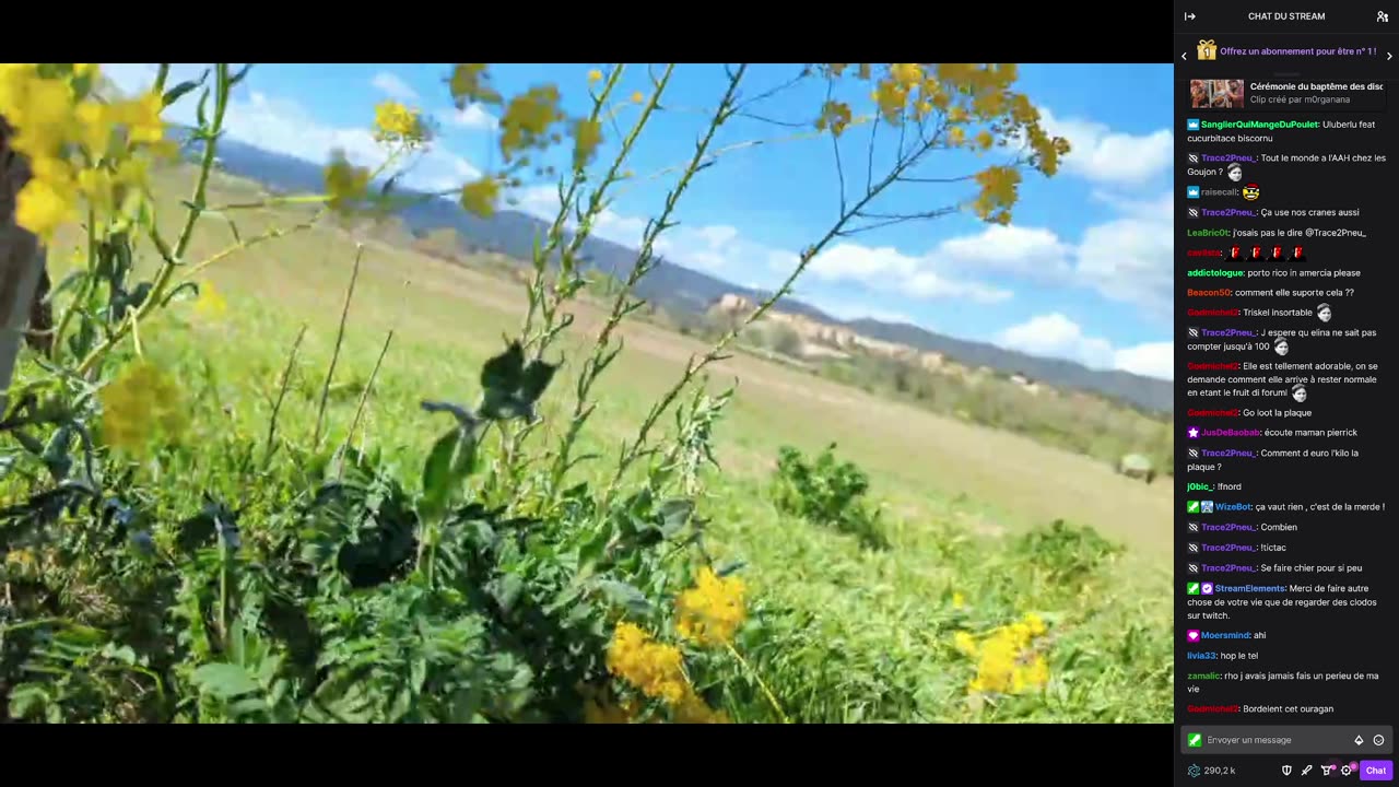 2023-04-13 (2bis.2) - Les pieds dans l'eau, les cheveux au vent - Twitch Triskelina (avec chat)