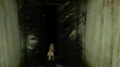 Not The Dog