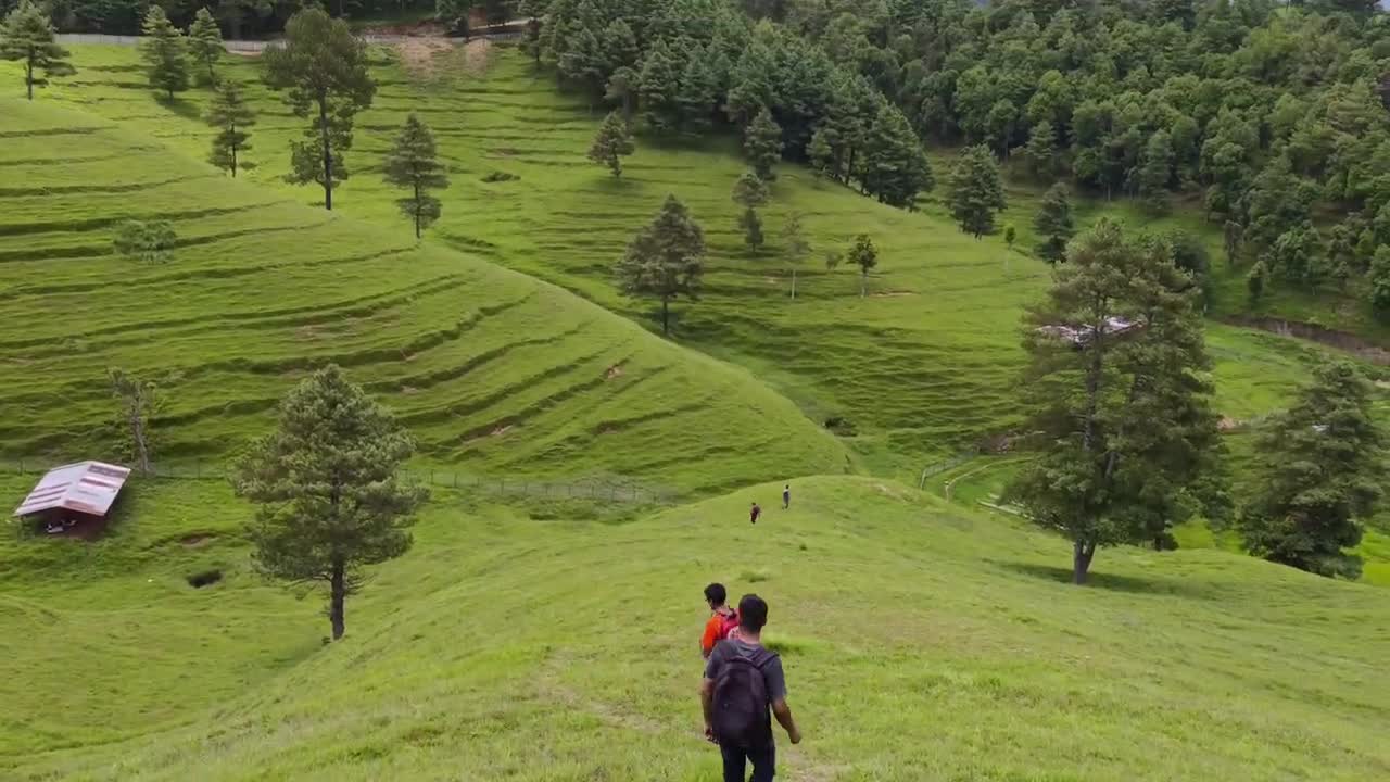Beautiful bhedafarm chitlang.