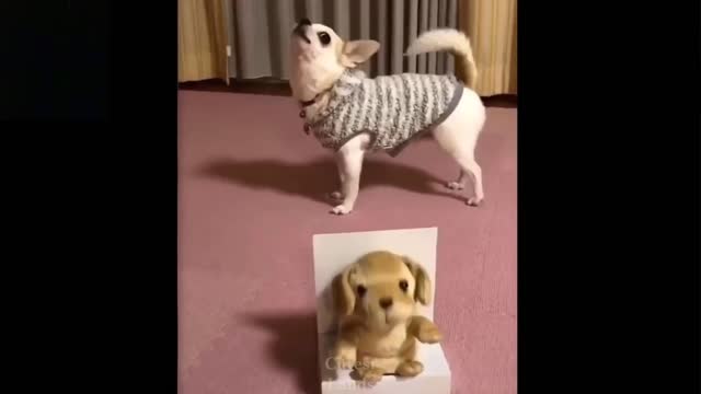 Super Cute Doggy Imitates Toy - MUST WATCH!!!