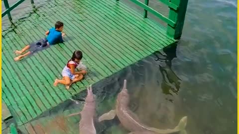 Ever-lasting_memories_in_the_ocean_breeze!(720p)
