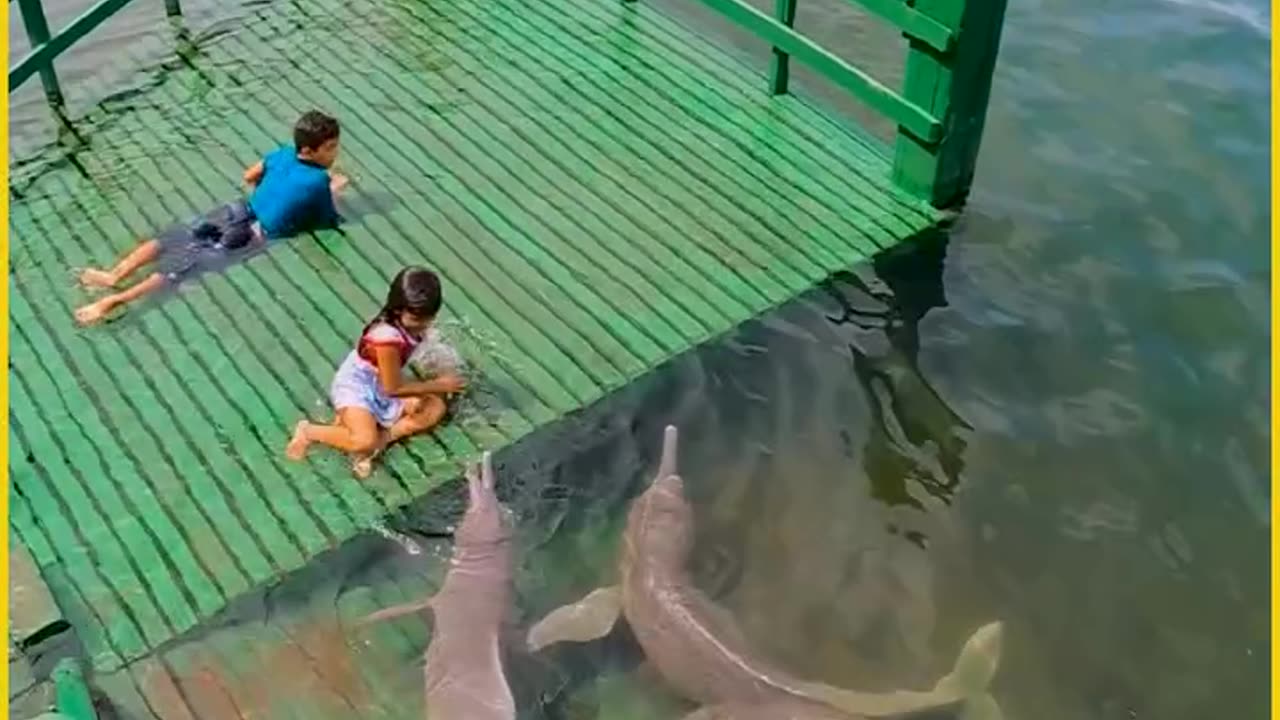 Ever-lasting_memories_in_the_ocean_breeze!(720p)