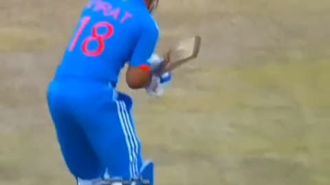 Cricket highlights