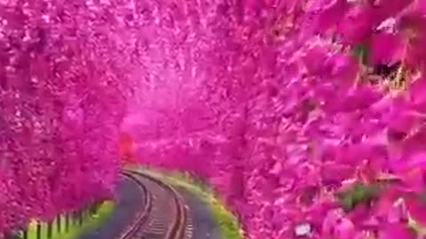 We present you some of the most breathtaking exciting and thrilling places in the world