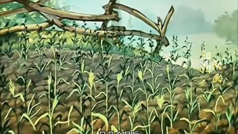 मुर्गी के बच्चे कर रहे इंसानो की तरह काम