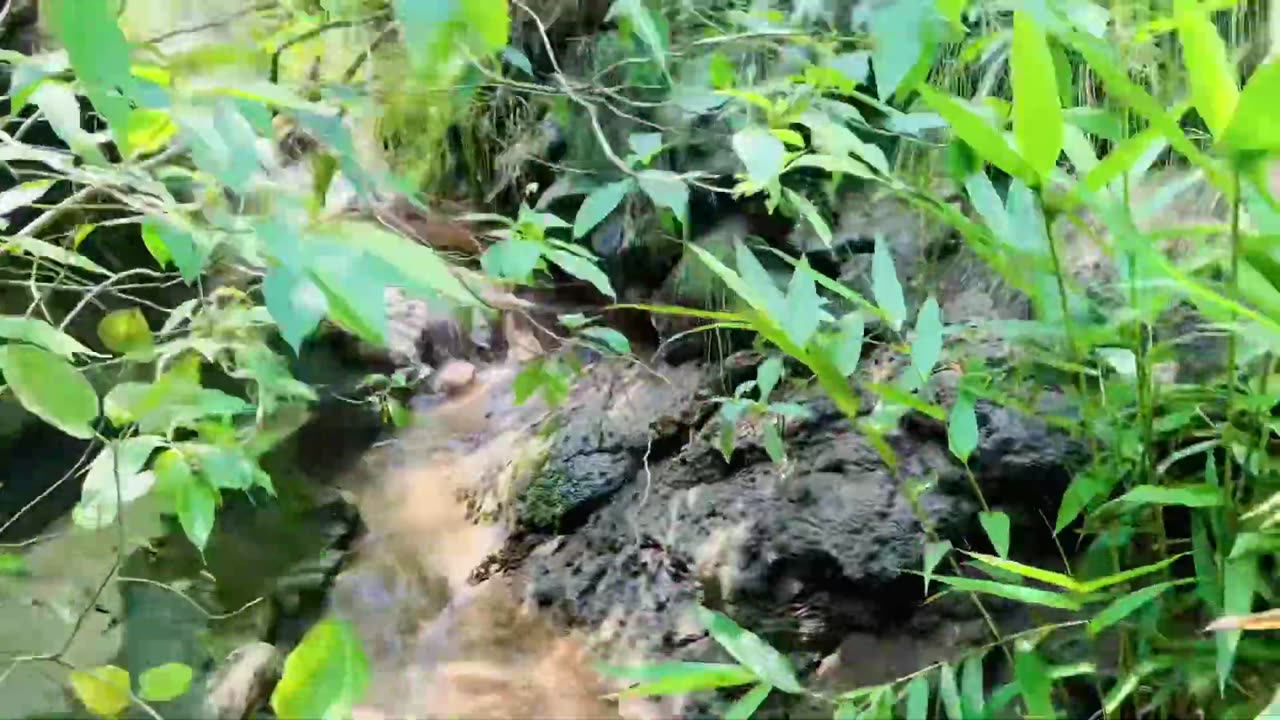 Hidden water fall in kashmir beauty