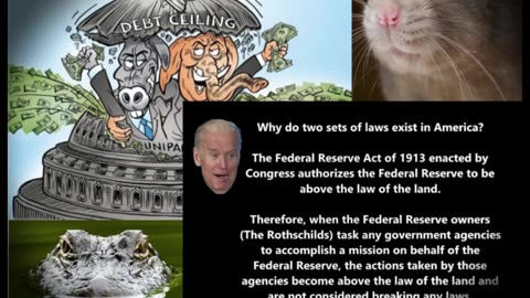 Rats and alligators
