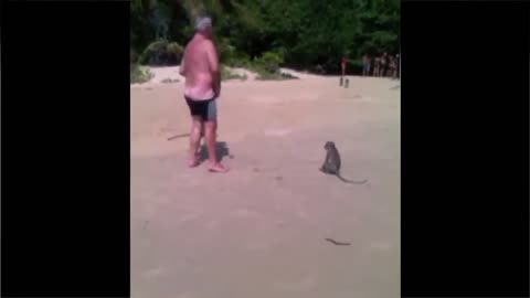 😹Smart monkey and funny monkey🤣 watch to the end