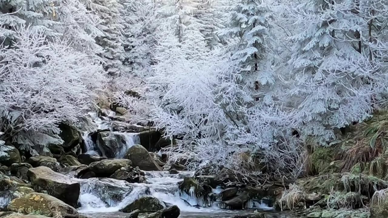 Flowing River Among Rocks - HD