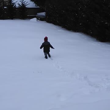 Playing in the snow