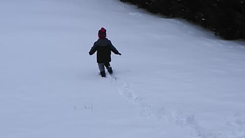 Playing in the snow