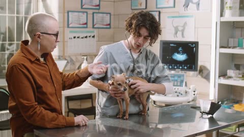 Veterinarian Giving Checkup to Dog in Clinic 