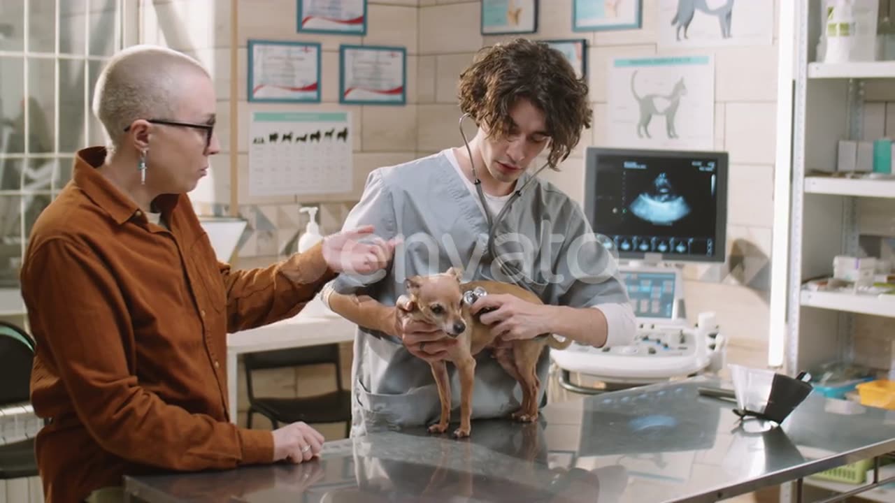 Veterinarian Giving Checkup to Dog in Clinic