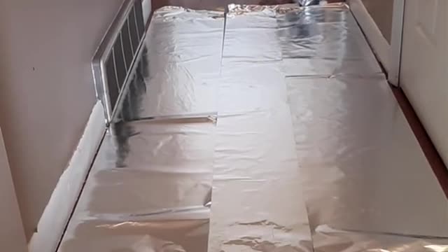 Who will walk across