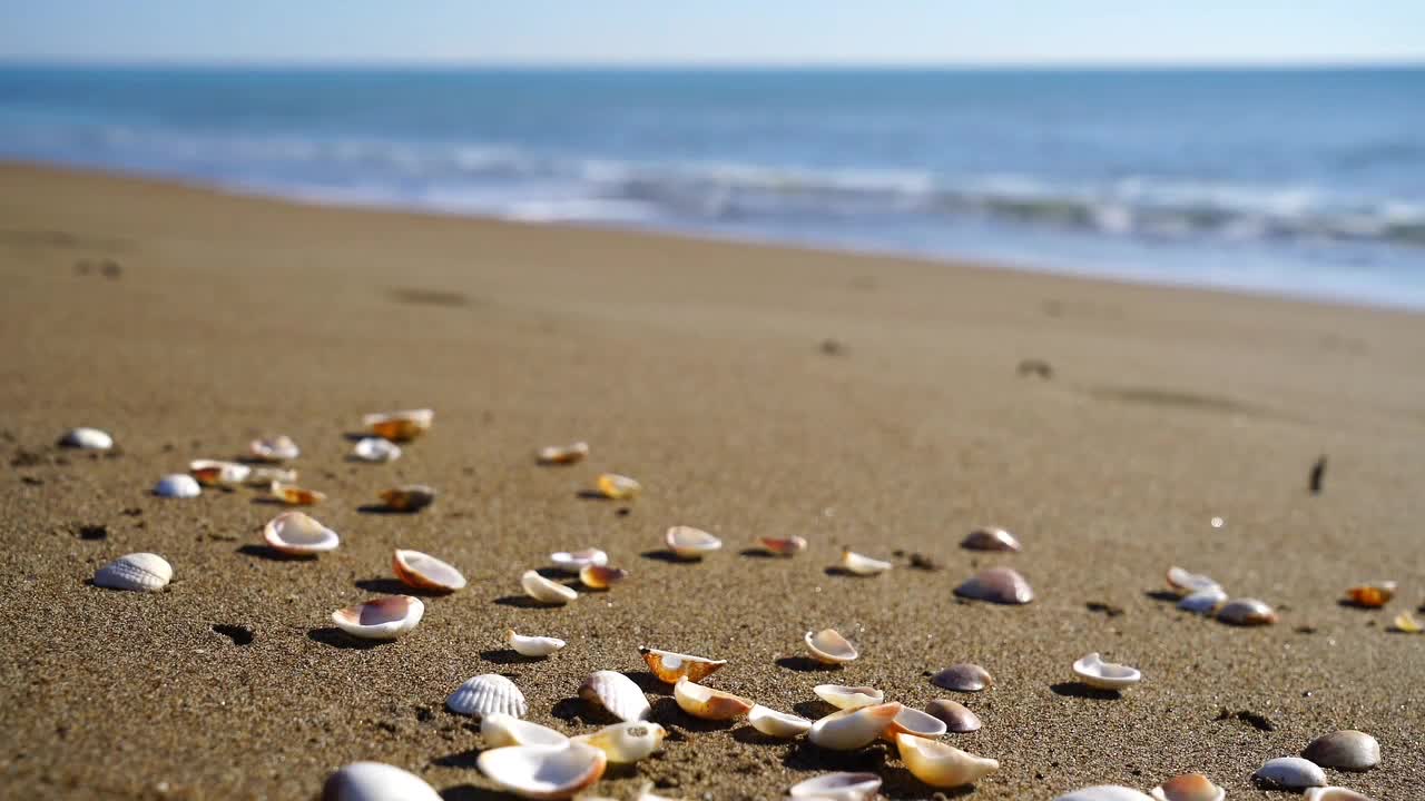 Beautiful Beach Video Background