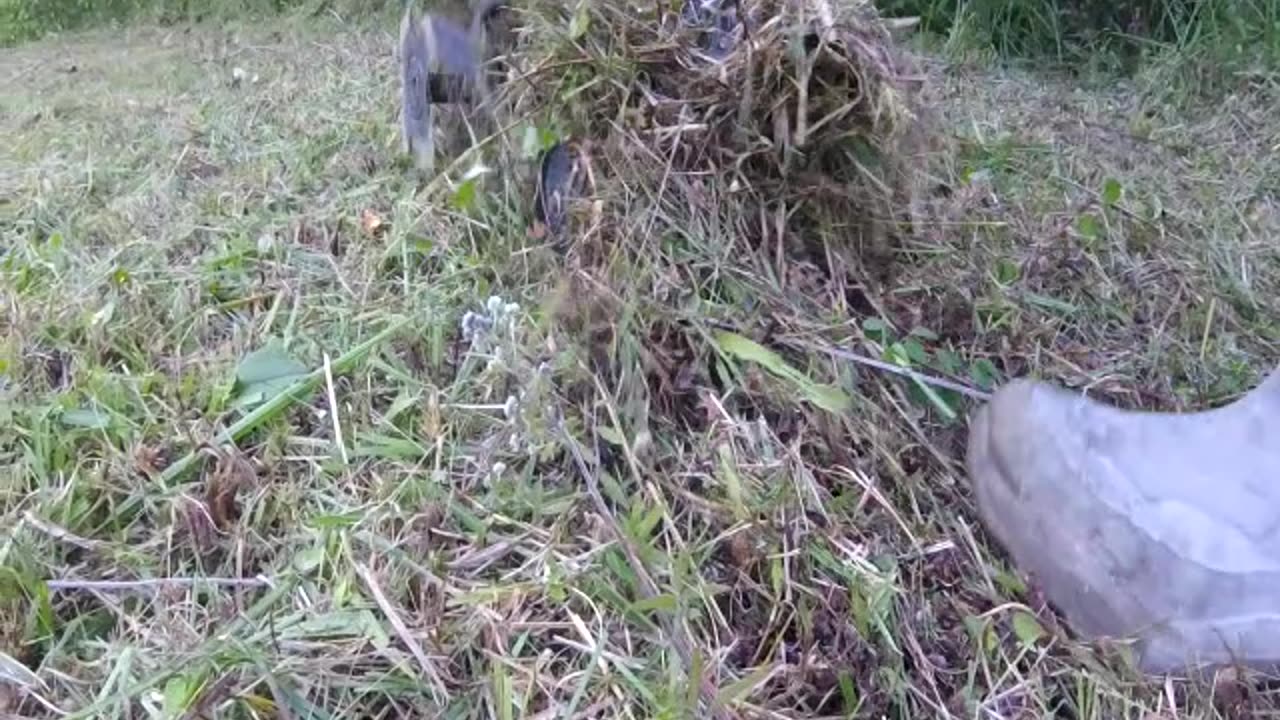 New food plot