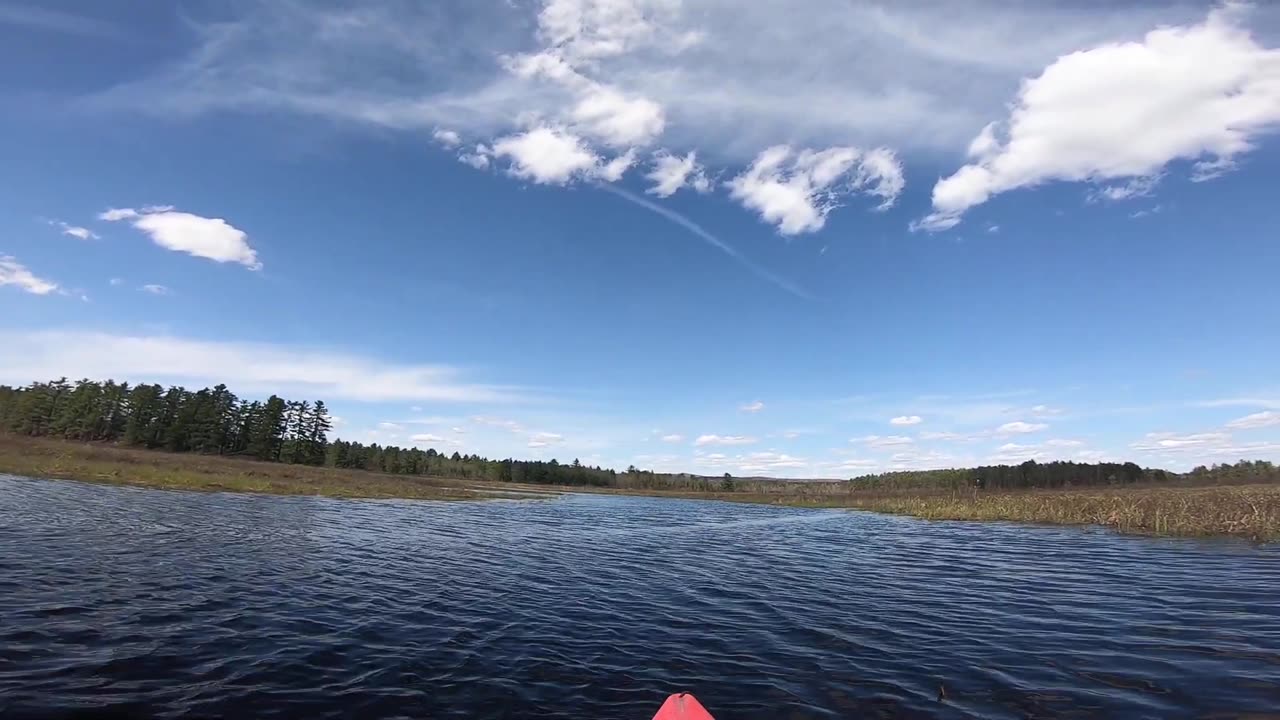 Great View
