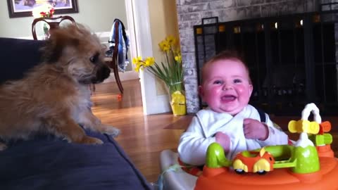 Baby laugh and puppy