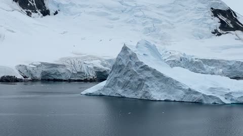 Iceberg