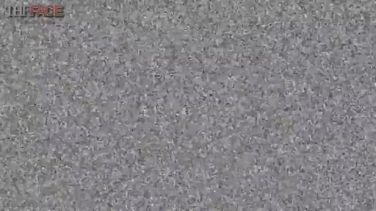 BEST FUNNY Compilation #2