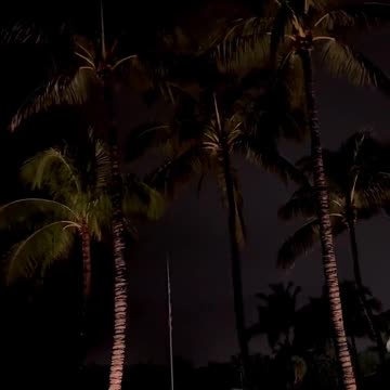 Storm Coming .. Dan Scavino Jr.