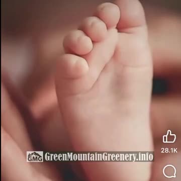 287 CHEMICALS FOUND IN BABY CORD BLOOD