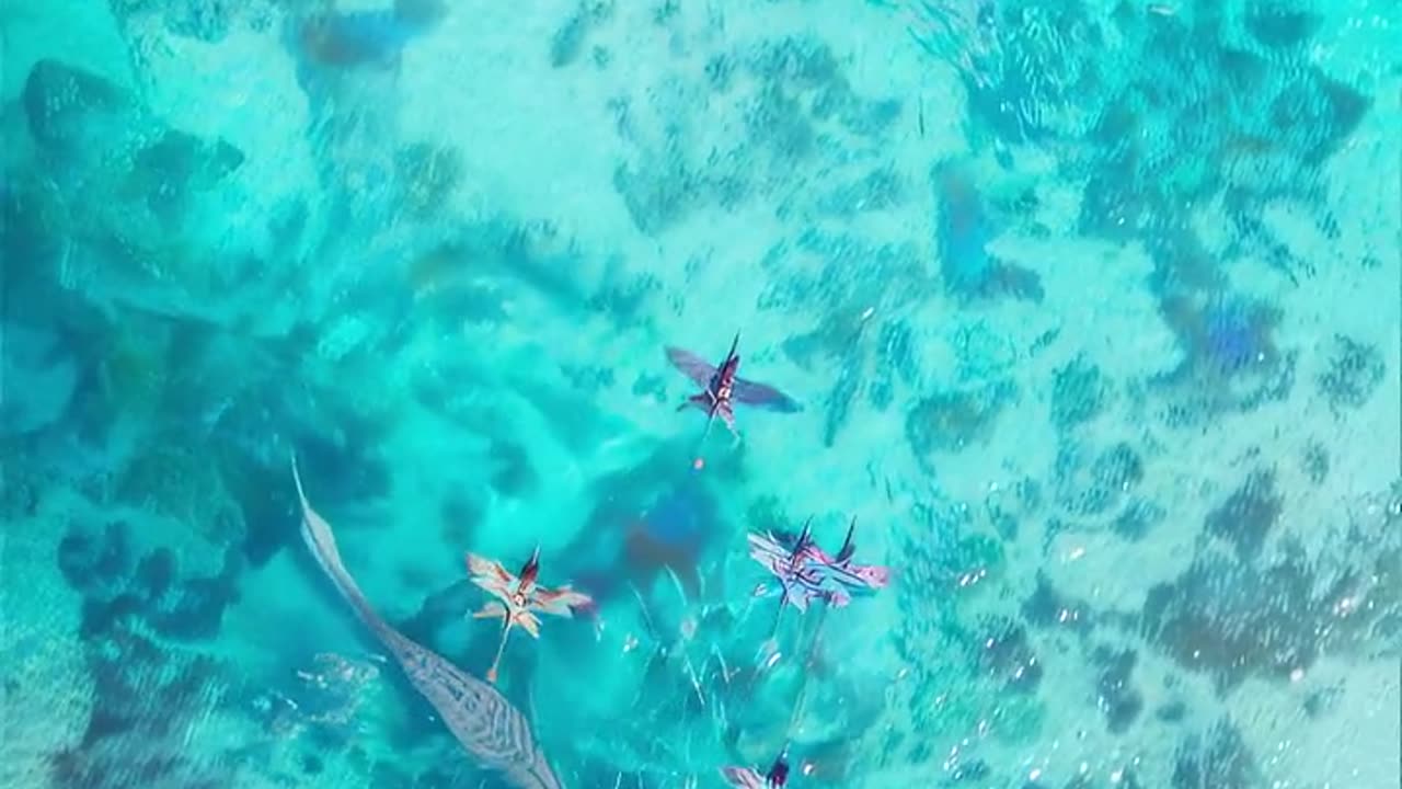 Aesthetic