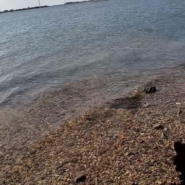 Chill out crazeeees. Learn to live