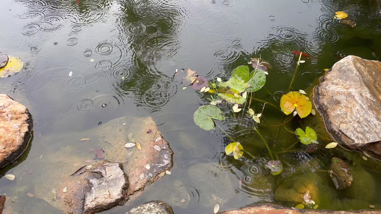 Rainy day