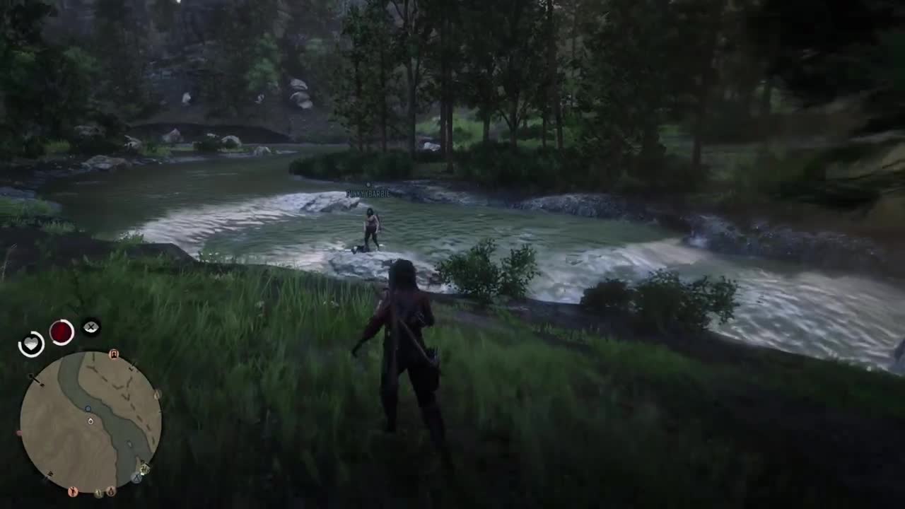 Red Dead Redemption 2_202