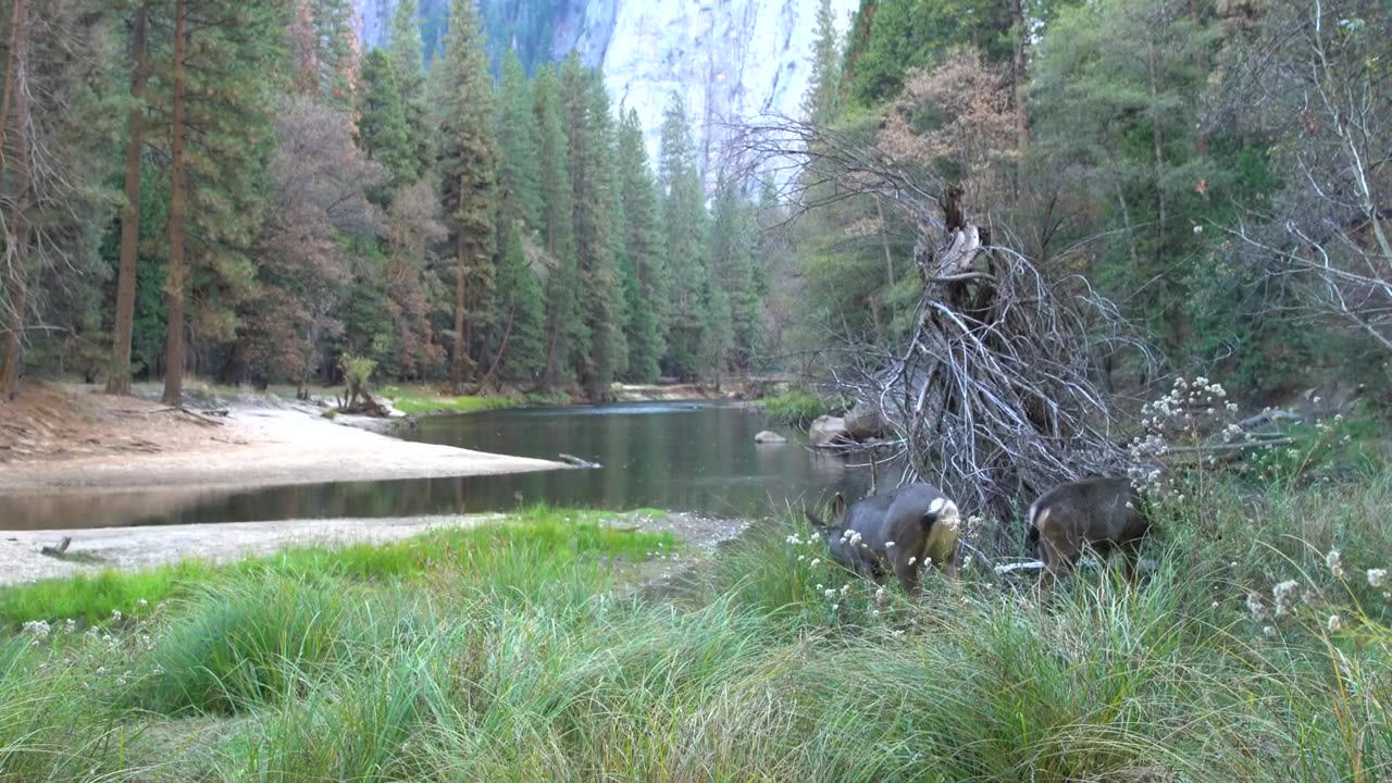 Philippe LeBlonde living in his van in Yosemite National Park