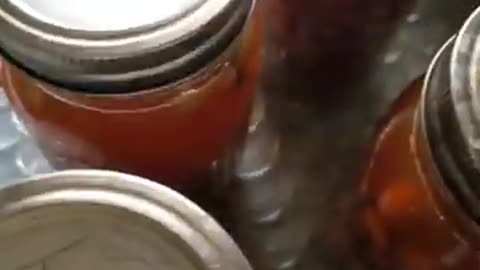 Reusing my old lids for my new Black-eyed peas.