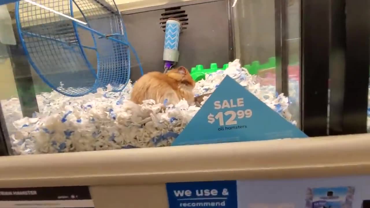 Petsmart