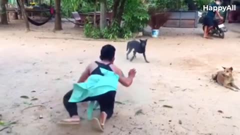 Troll Prank Dog Funny Part 1