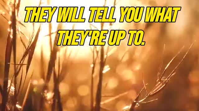 When someone is not listening.... Stop talking - Jordan Peterson - Personal Development #shorts