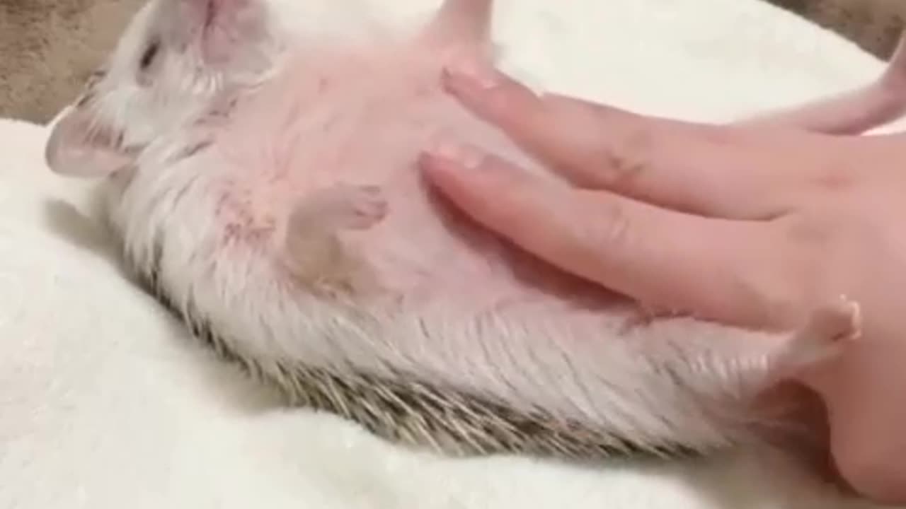 Soothing massage session