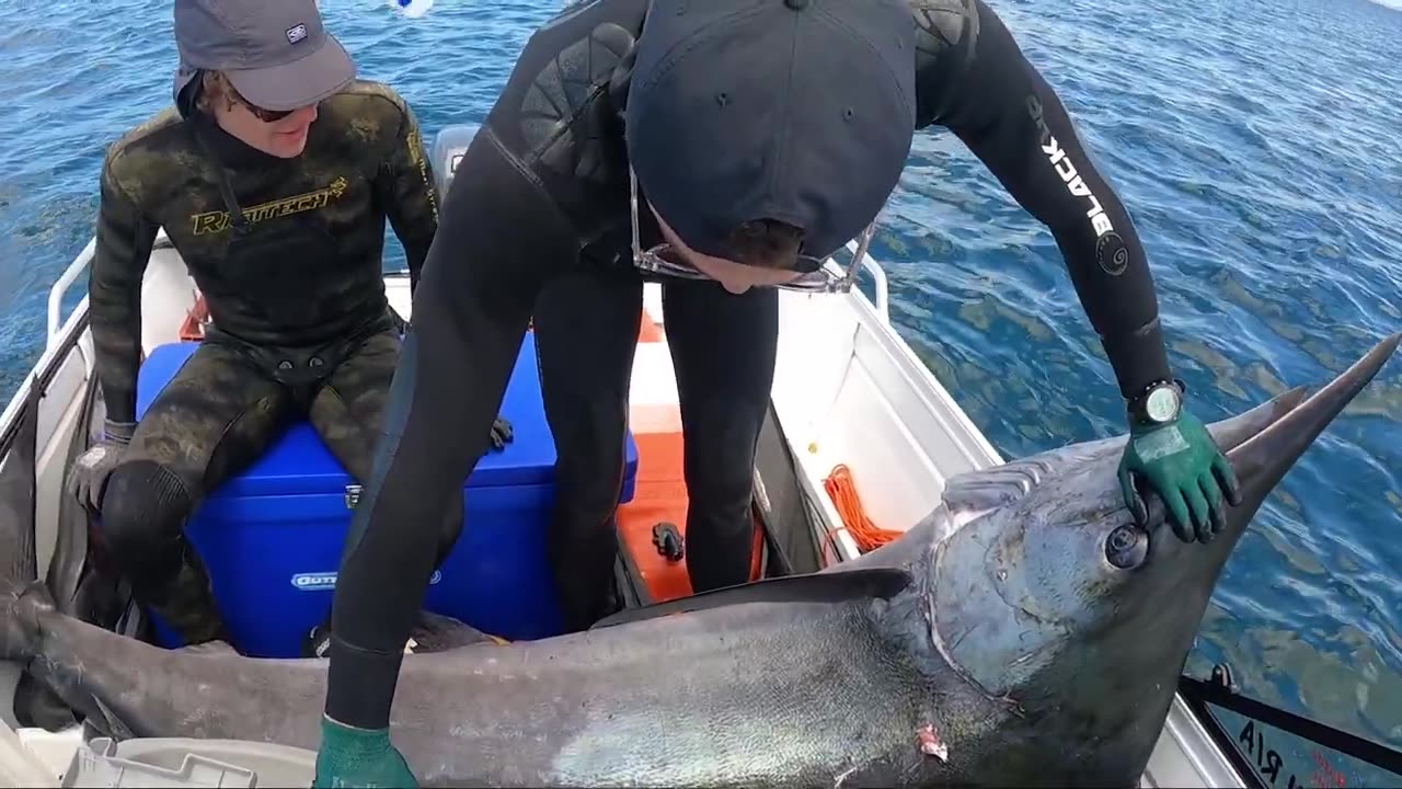 #Sea#Fishing#River#Fish Fishing Marlin With Water Guns From Inside The Underwater Trenches With