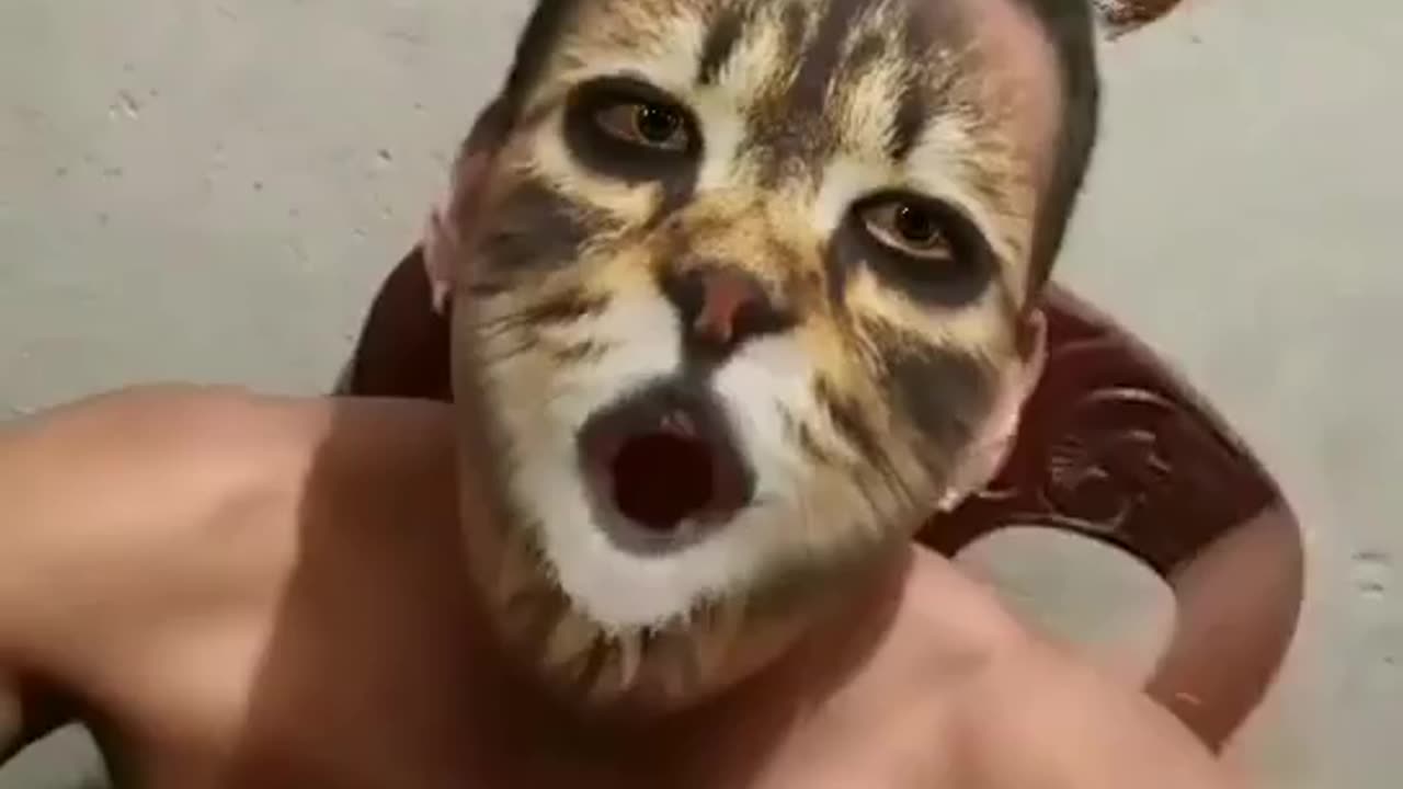 Video tiktok gato volador